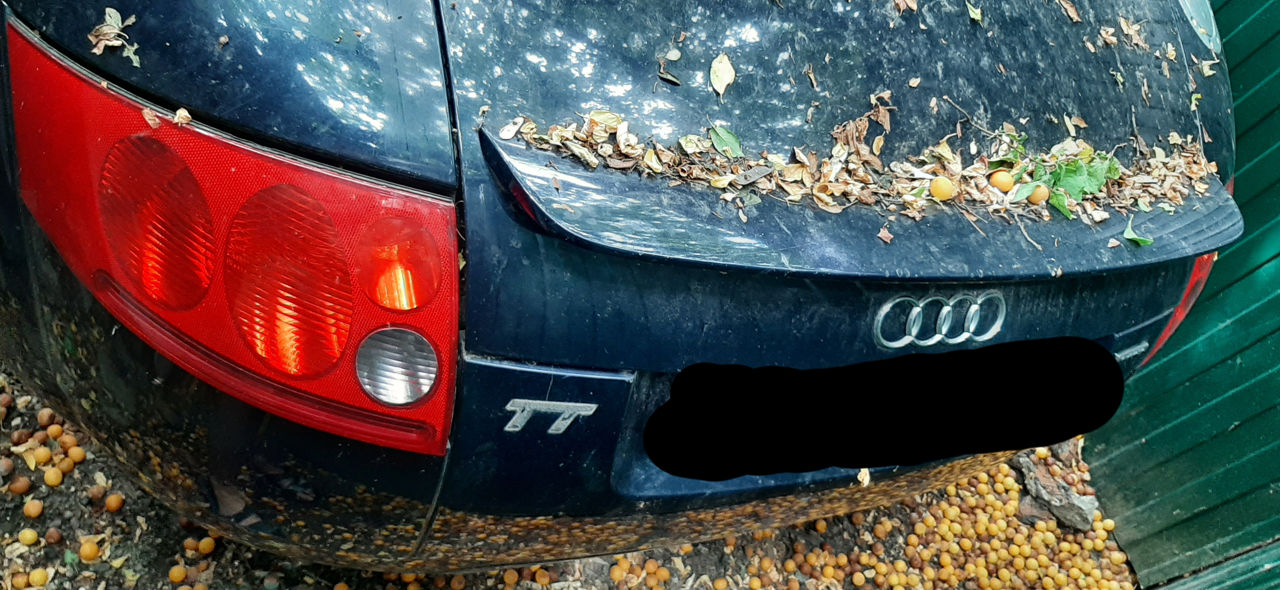 Audi TT N8 1.8T,cutiea 6 trepte 4x4,şi tot sistemul 4x4.optica,banperuri,2 aripi sunt foto 0