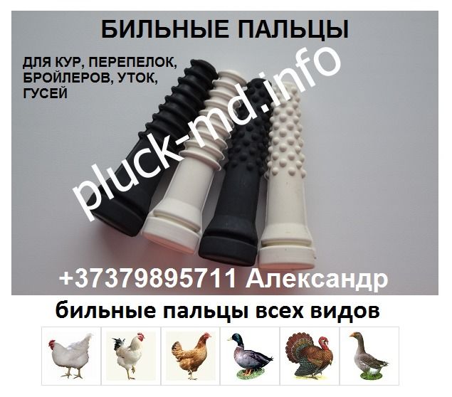 bilnye palcy perosemnye mashiny dostavka po moldove