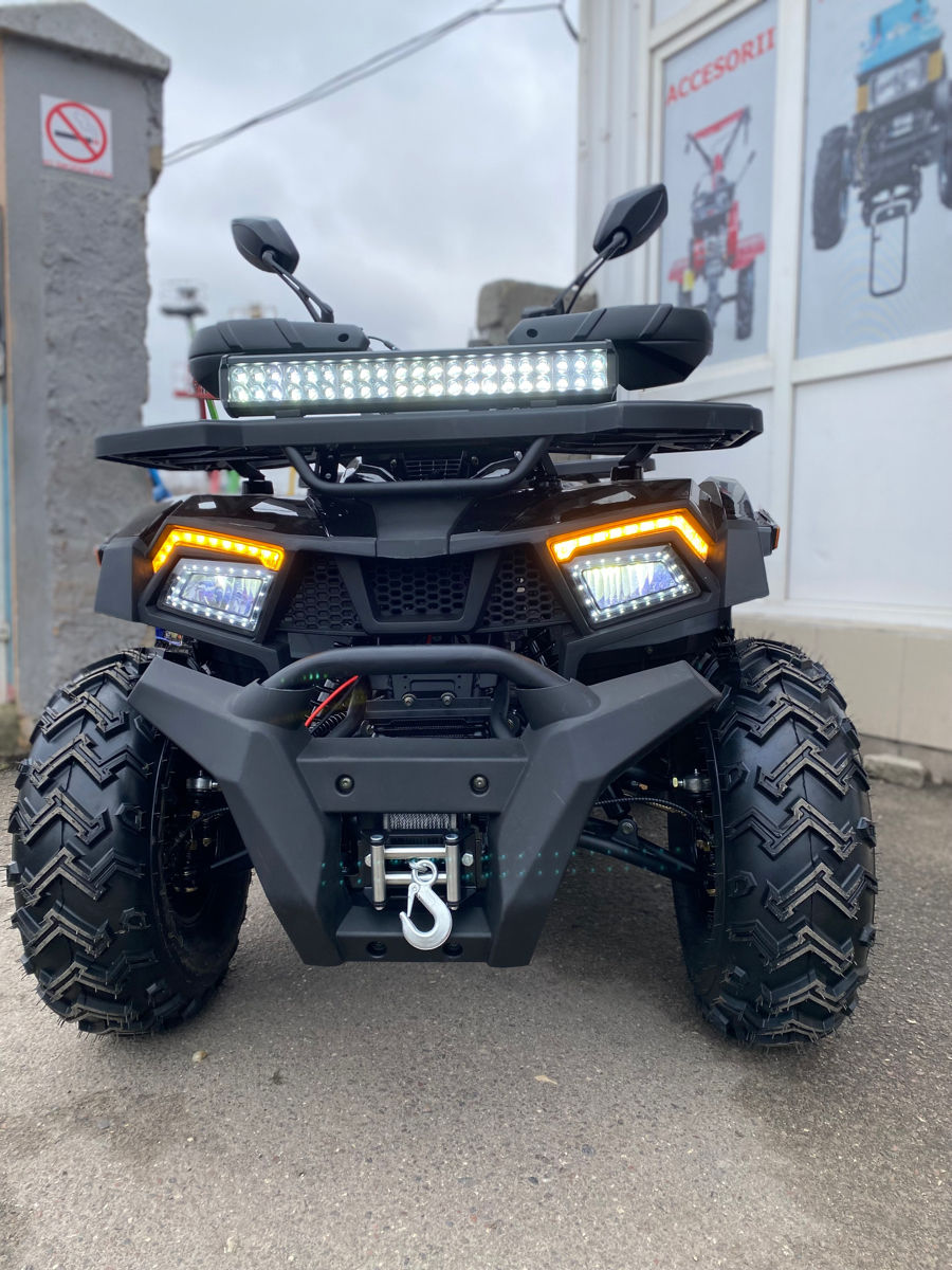 Viper 250 foto 17