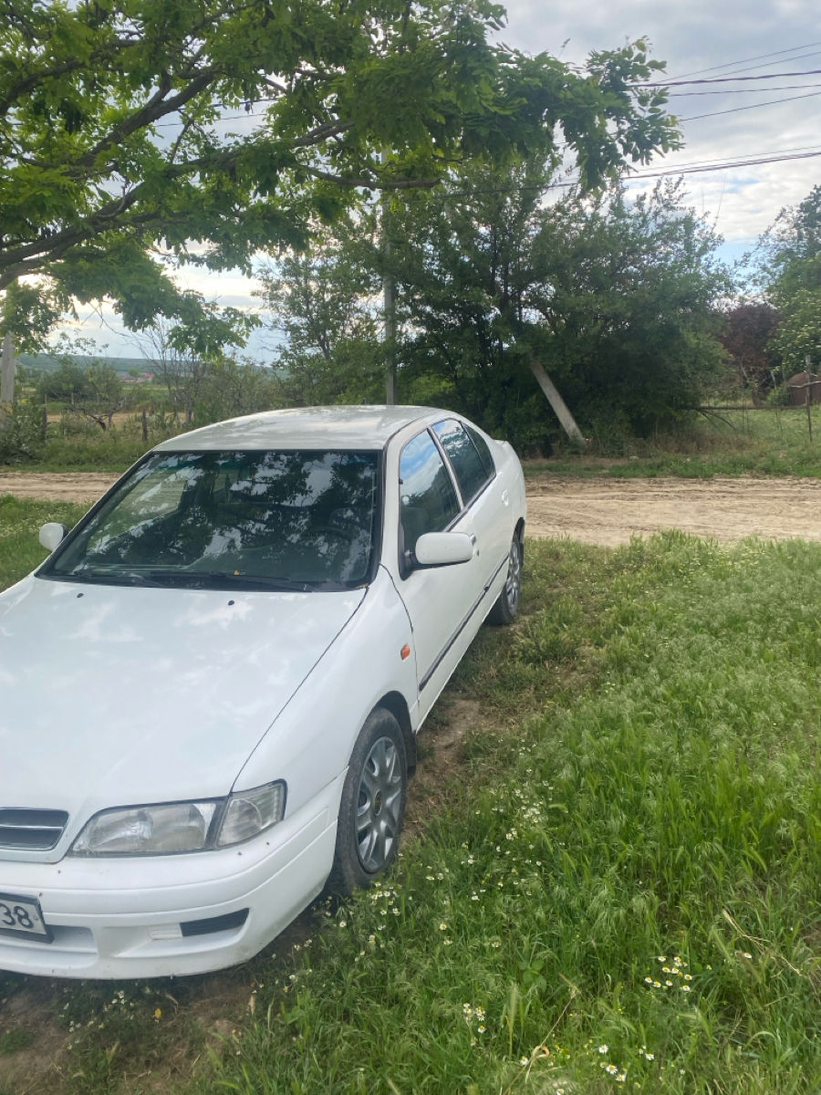 Nissan Primera foto 1