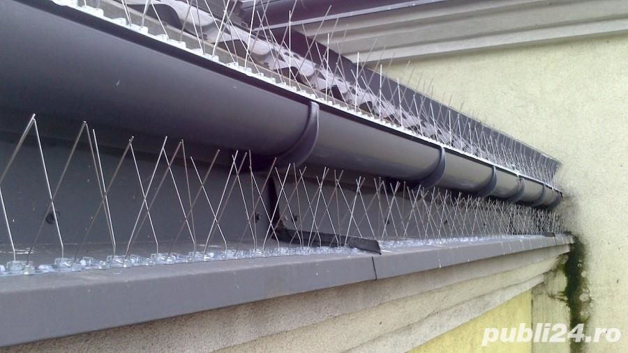 Protectie impotriva pasarilor- instalare , servicii auto turn... foto 0