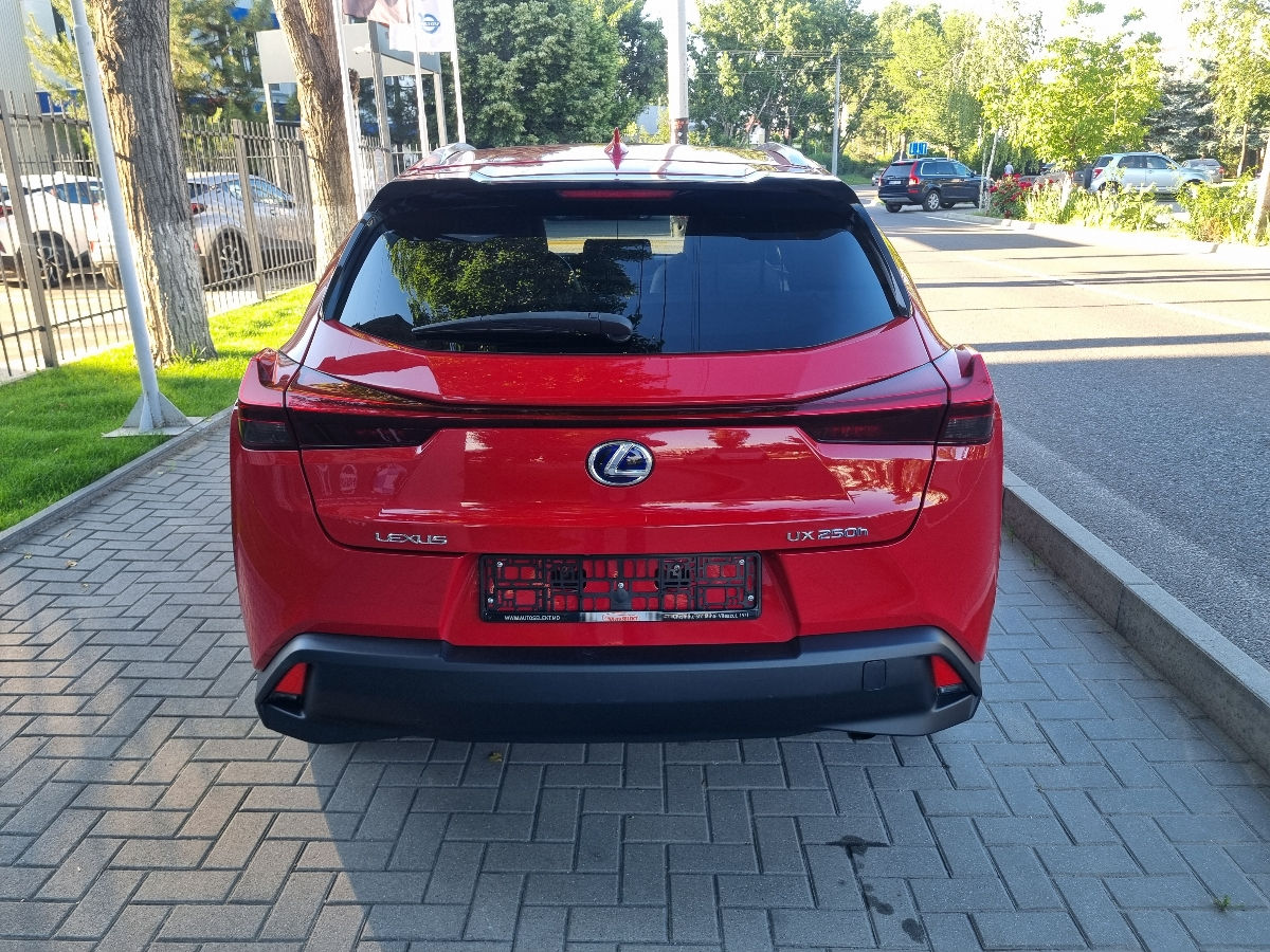 Lexus UX 2019 photo 6