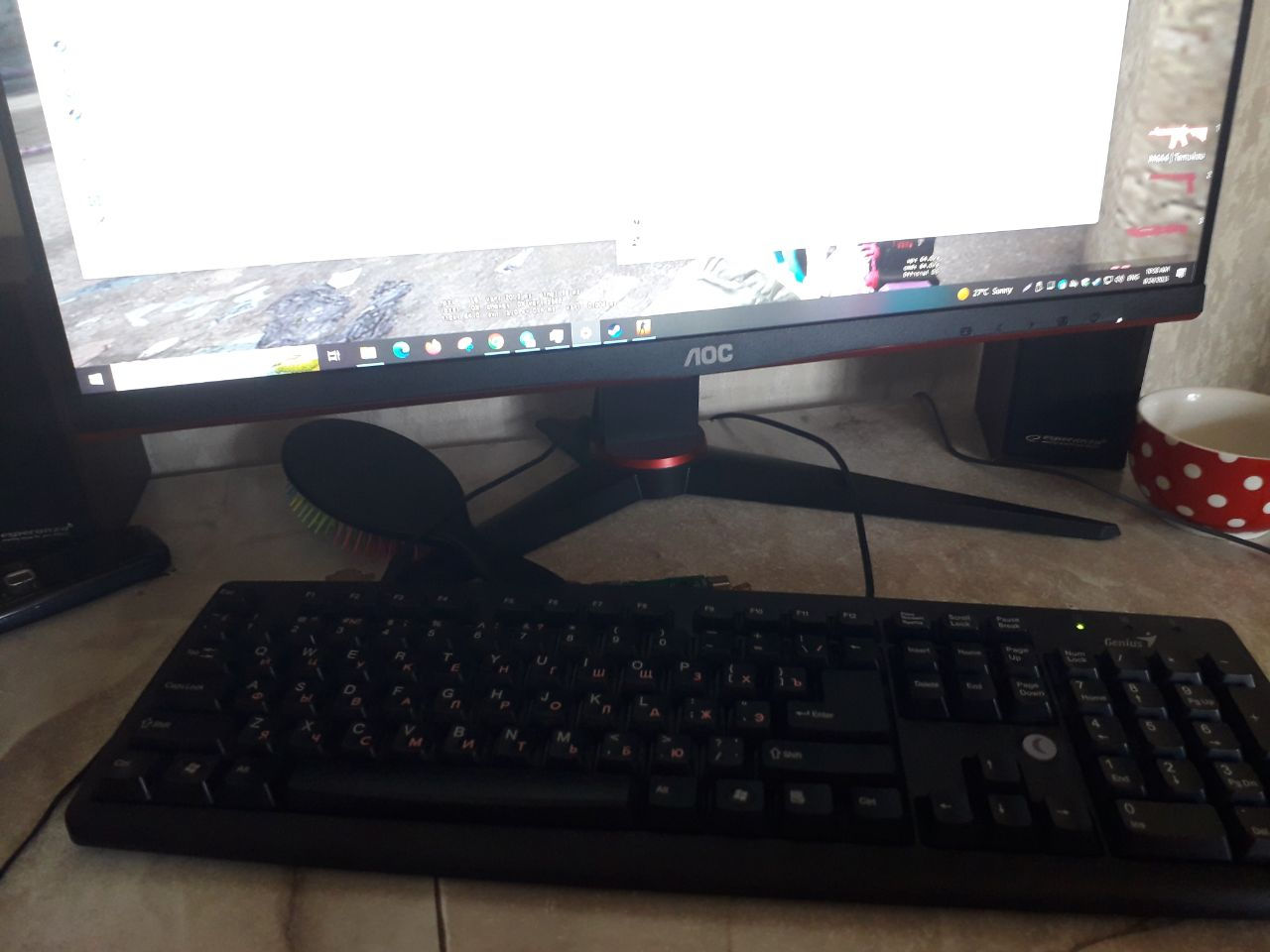 aoc 24G2W1G3 gaming 165hz