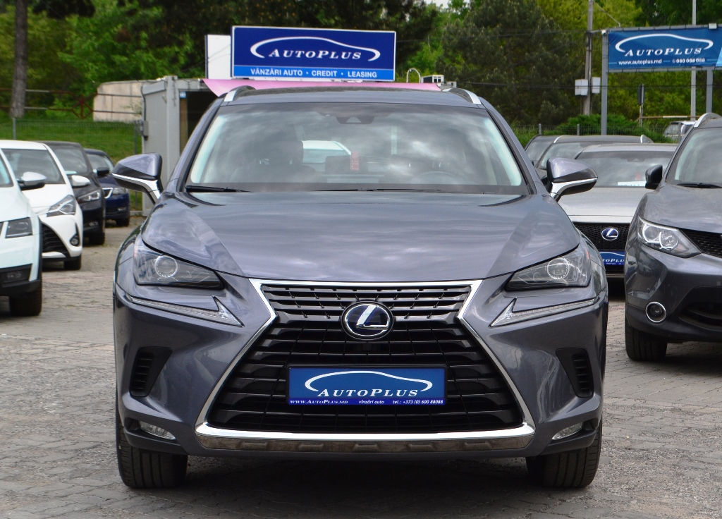 Lexus NX Series foto 15