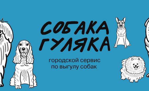 Городской сервис по выгулу собак, собака гуляка. Безопасный выгул собак. Viber WhatsApp Telegram. фото 2