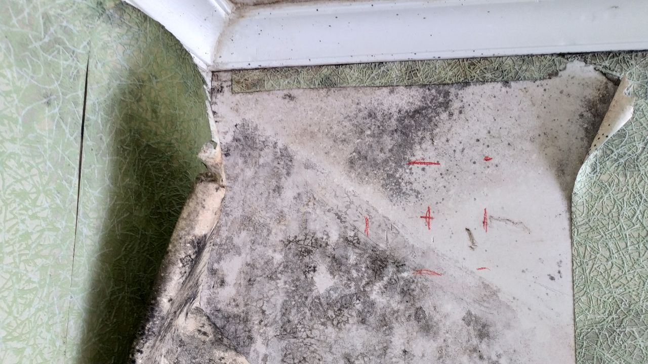 Umiditate, mucegai, aer viciat sau sănătate îmbunătățită, aer curat și fără mucegai !!!. foto 12