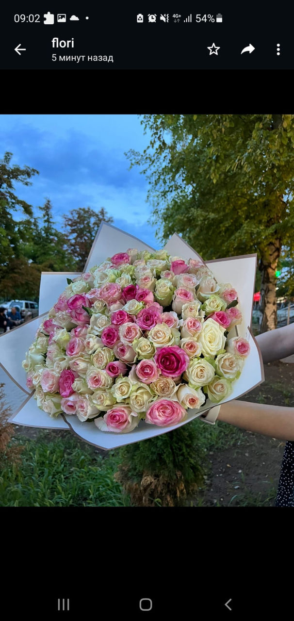 Trandafiri si bujori olandezi, moldovenesti, Tiraspol de la 8 lei/ buc foto 4