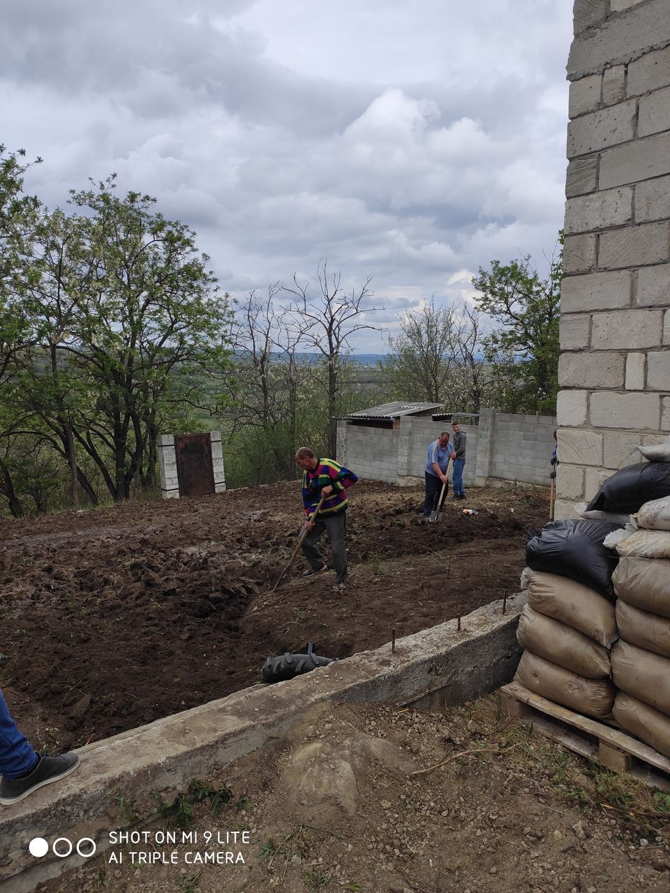 Facem curat la vila. Taiem copaci. Scoatem radacini foto 4