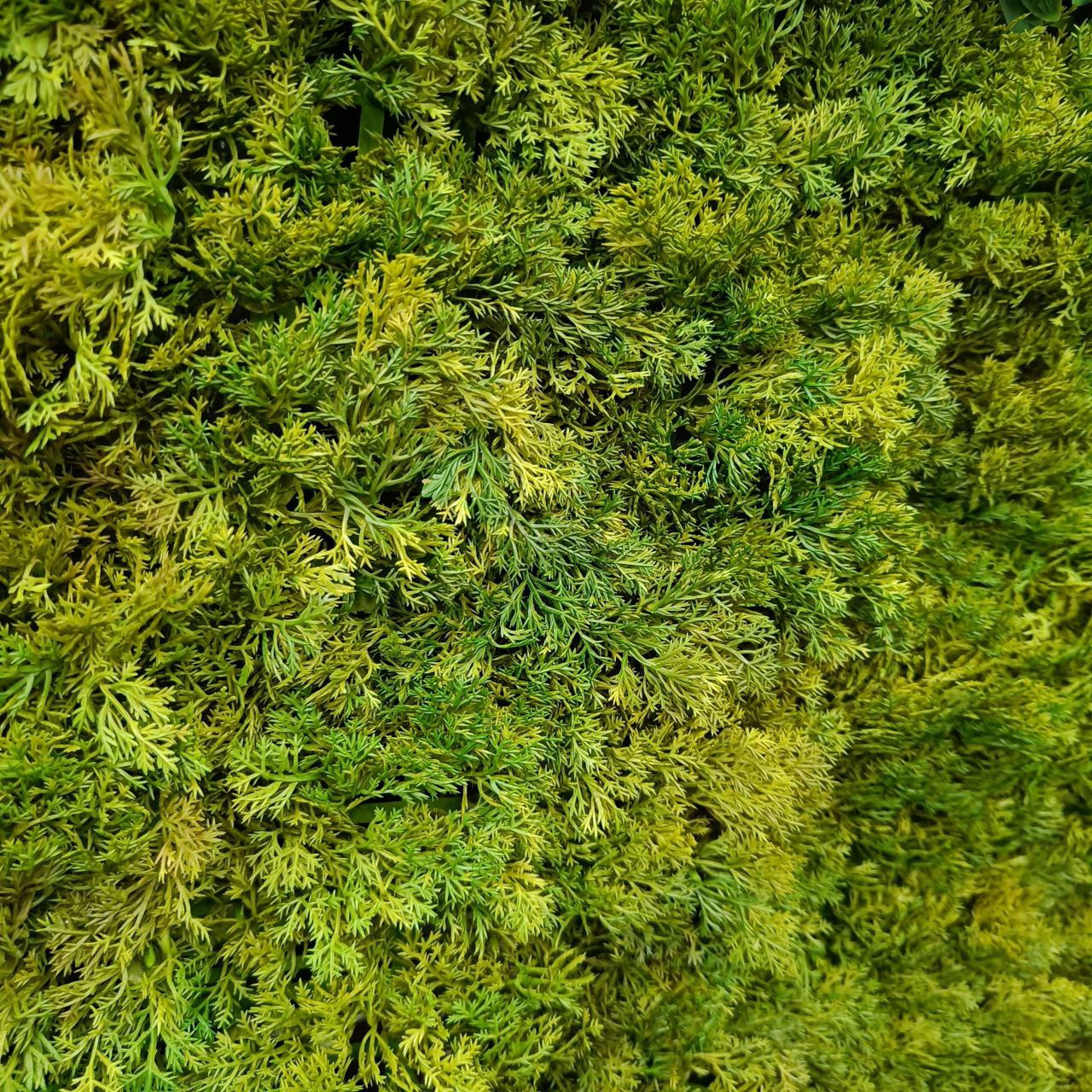 Plante decorative artificiale / Perete din plante artificiale foto 8