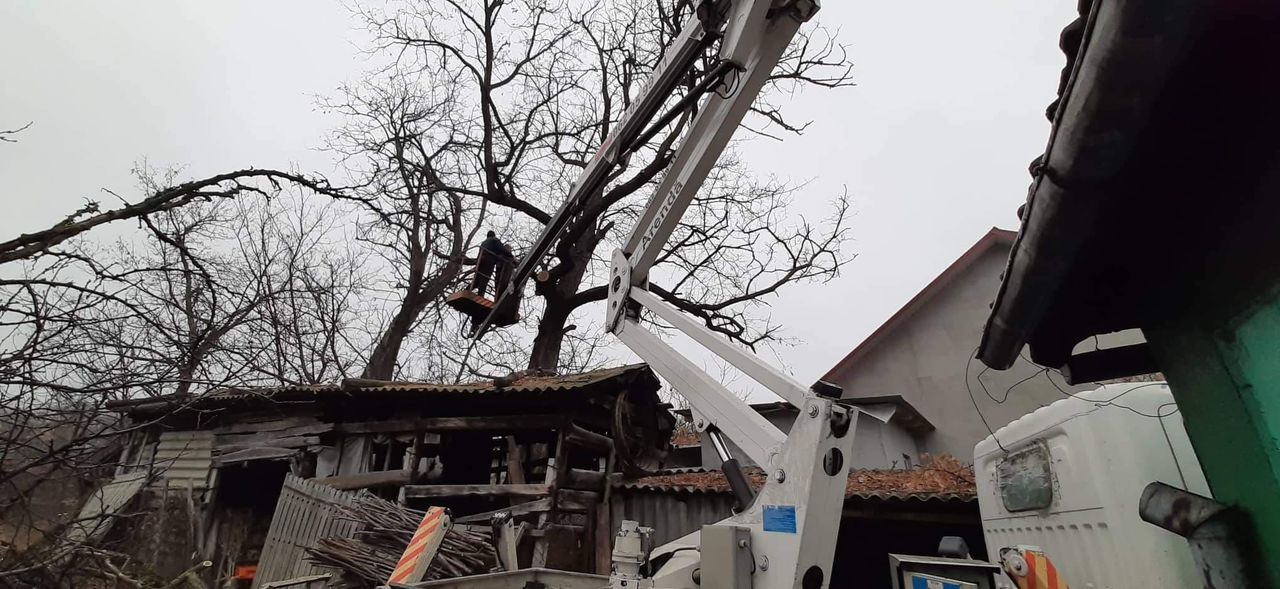 Taierea copacilor, curatarea copacilor, Masina Autoturn, Lucram in toata Moldova !!! foto 5