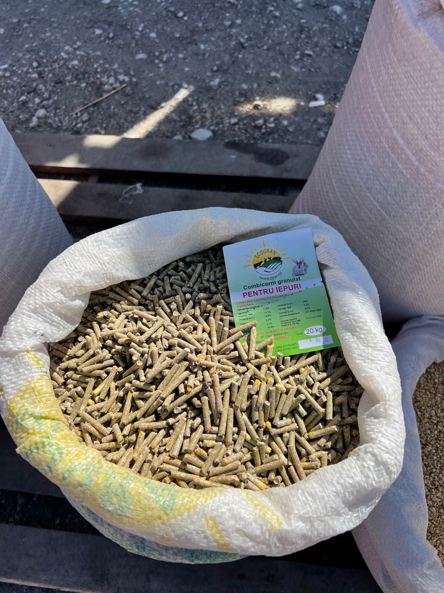 Granule Iepuri foto 0