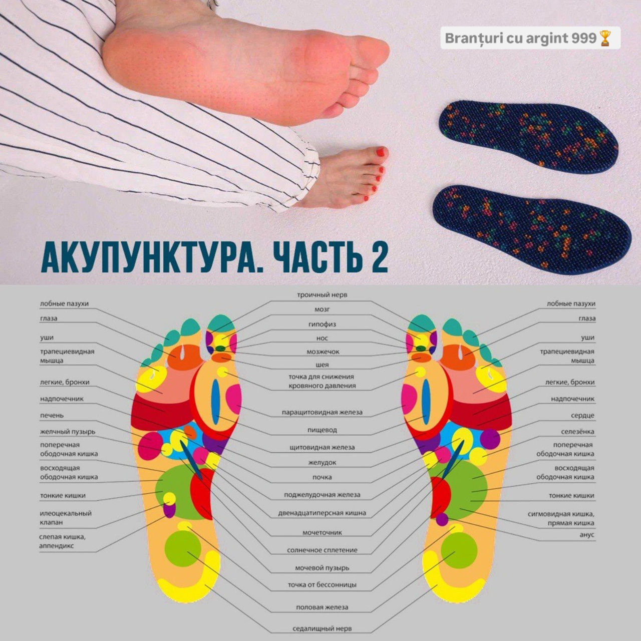 Aplicator Lyapko Апликатор Ляпко foto 2