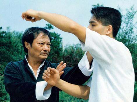 Wing chun kung-fu ( китайский бокс) вин чун кунг-фу foto 4