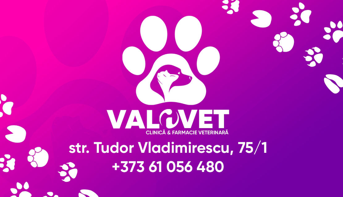 Clinică Farmacie Veterinară "Valivet" foto 2
