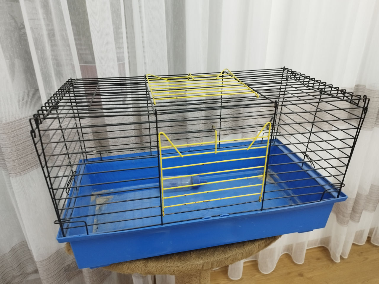Клетка