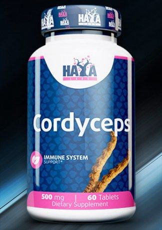 Cordyceps гриб (кордицепс) foto 0