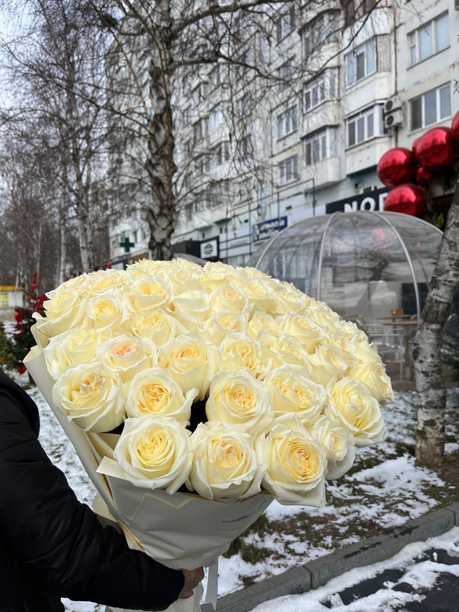 101 Trandafiri 50cm  - 2000 lei toată iarna foto 8