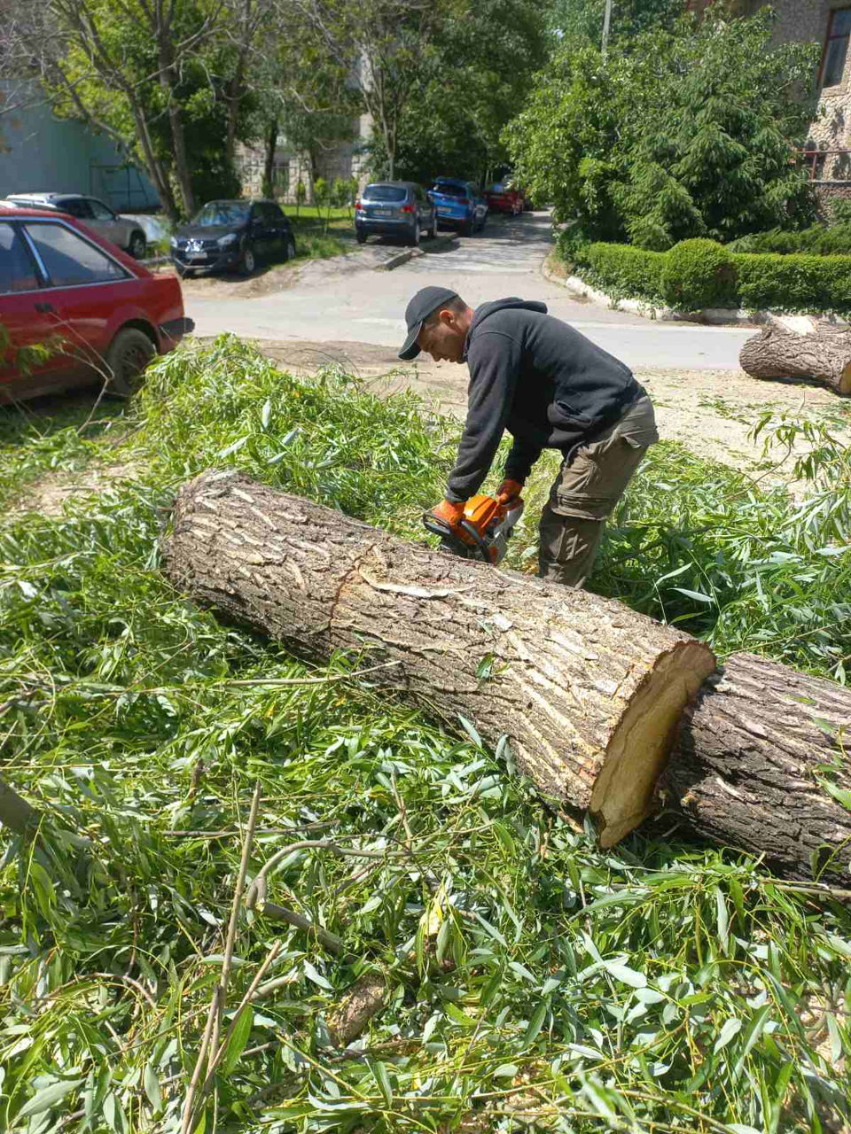 Servicii de curățare și întreținere a terenurilor foto 15