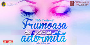 Спящая красавица