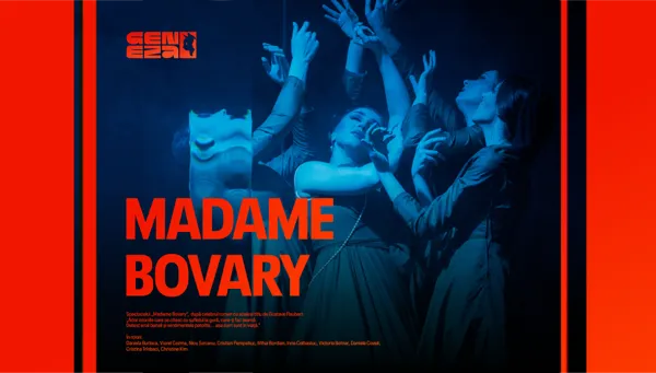 Madame Bovary 19.11.26