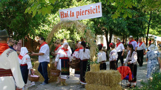 „Hai la piersici!” Festivalul Piersicilor la Tudora!