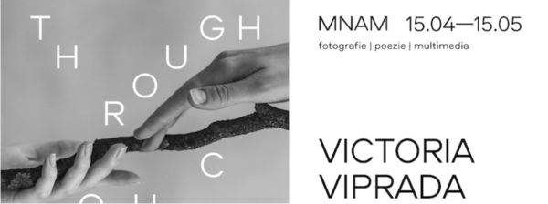 Expoziția multimedia a Victoriei Viprada, Karen Grigoryan, Alex Cosmescu