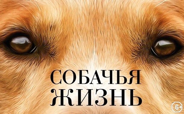 A Dog's Purpose