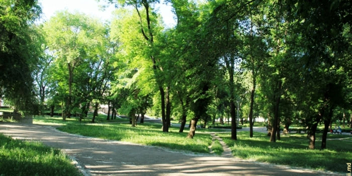 Бельцы (Парк Андриеш)