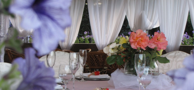 Casa Vinului