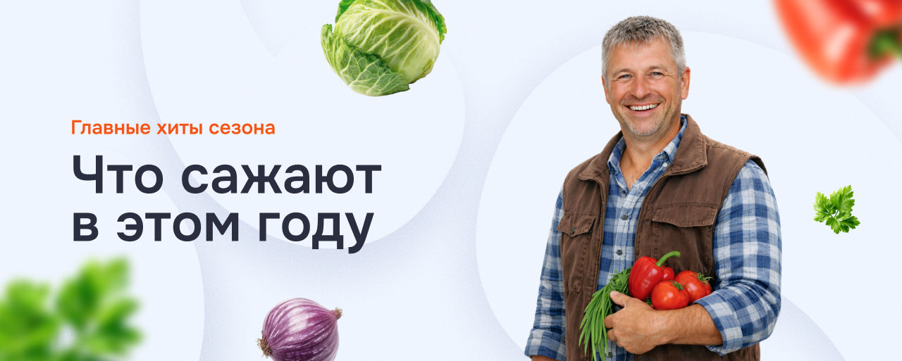 Новые сорта овощей и зелени: Что выбирают садоводы в 2026
