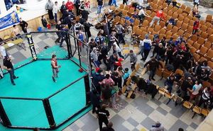Болельщики устроили массовую драку на поединке по MMA в Дагестане (Видео)