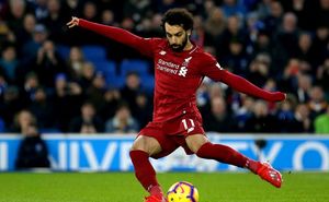 O specie nouă de furnici a fost botezată cu numele Mohamed Salah