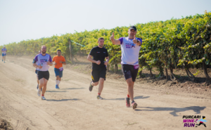 Проведите последние выходные лета на Purcari Wine Run 2019