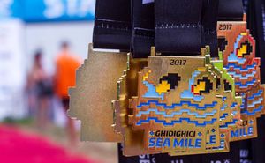 Presentation of the Ghidighici Sea Mile 2017 medal