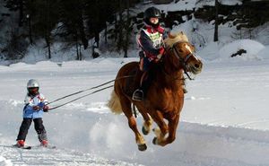 Зимние виды спорта, о которых многие не знают