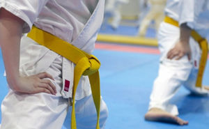 215 sportivi din Moldova şi România au luptat în ring