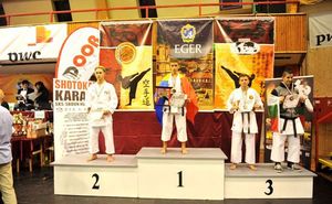 Moldova a cucerit 12 medalii la Campionatul Mondial de karate shotokan
