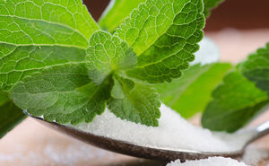Is Stevia Sweetener Better Than Sugar?