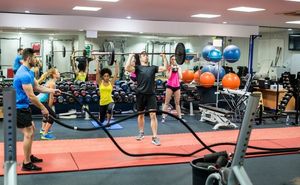 The Don't-Look-Like-a-Fool Guide to Gym Equipment