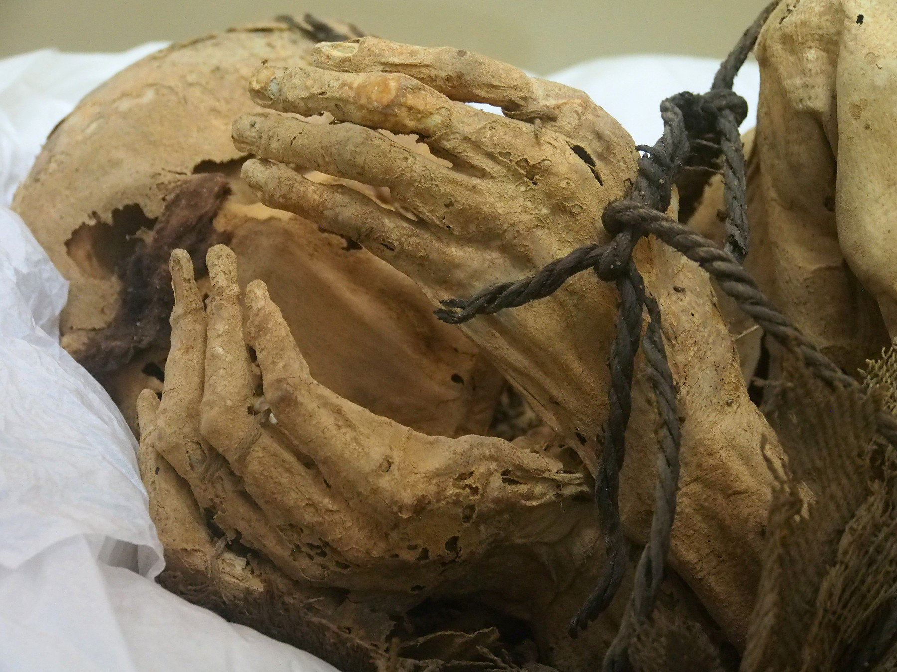 Peru: Rămășițele unor persoane sacrificate, descoperite de arheologi