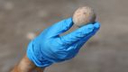 Un ou de găină, vechi de 1.000 de ani, a fost descoperit intact