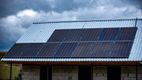 Oieritul, o afacere de succes: 5 ferme din Borogani, modernizate de UE