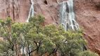 Specii de plante necunoscute, găsite pe stânca sacră Uluru din Australia