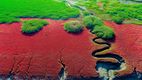 Imagini spectaculoase: Cum a apărut plaja roșie din China