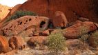 Specii de plante necunoscute, găsite pe stânca sacră Uluru din Australia