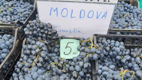 Iarmaroc la Piața Avicolă: Struguri și produse de vinificație
