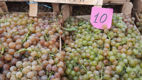 Iarmaroc la Piața Avicolă: Struguri și produse de vinificație