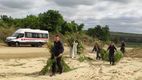 Sute de fire de cânepă, găsite de carabinieri în raionul Taraclia