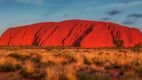Specii de plante necunoscute, găsite pe stânca sacră Uluru din Australia