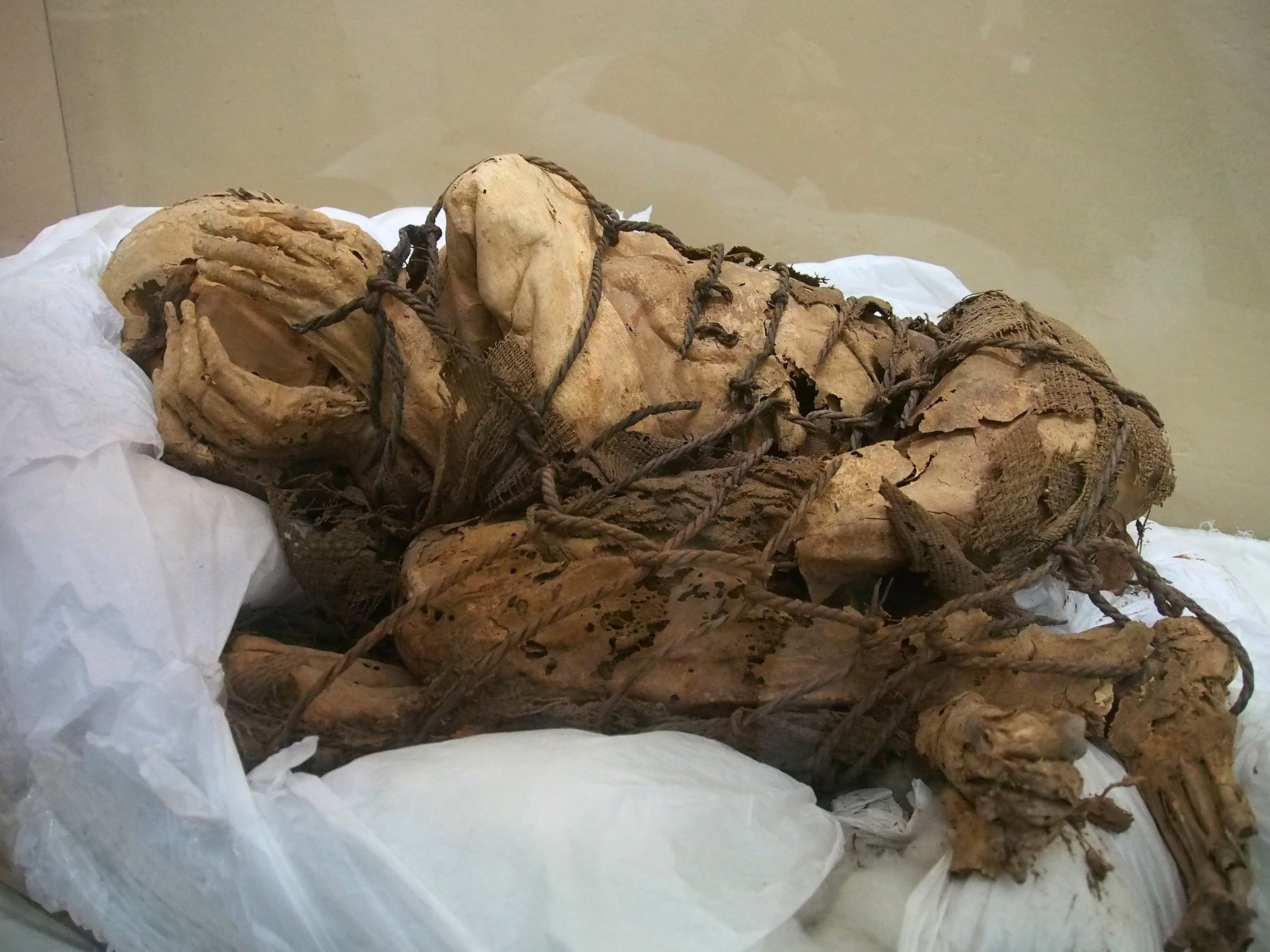Peru: Rămășițele unor persoane sacrificate, descoperite de arheologi